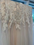 Reina Gown/Size 18/ fit & flare/ NWT #12