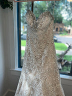 Champagne Lace size 6 #19