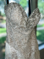 Champagne Lace size 6 #19