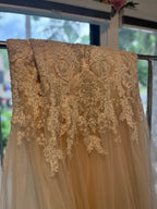 Reina Gown/Size 18/ fit & flare/ NWT #12
